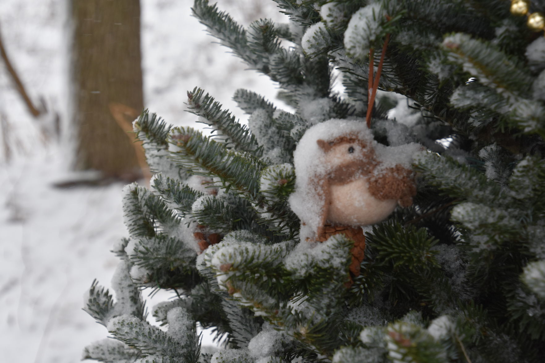 Snow